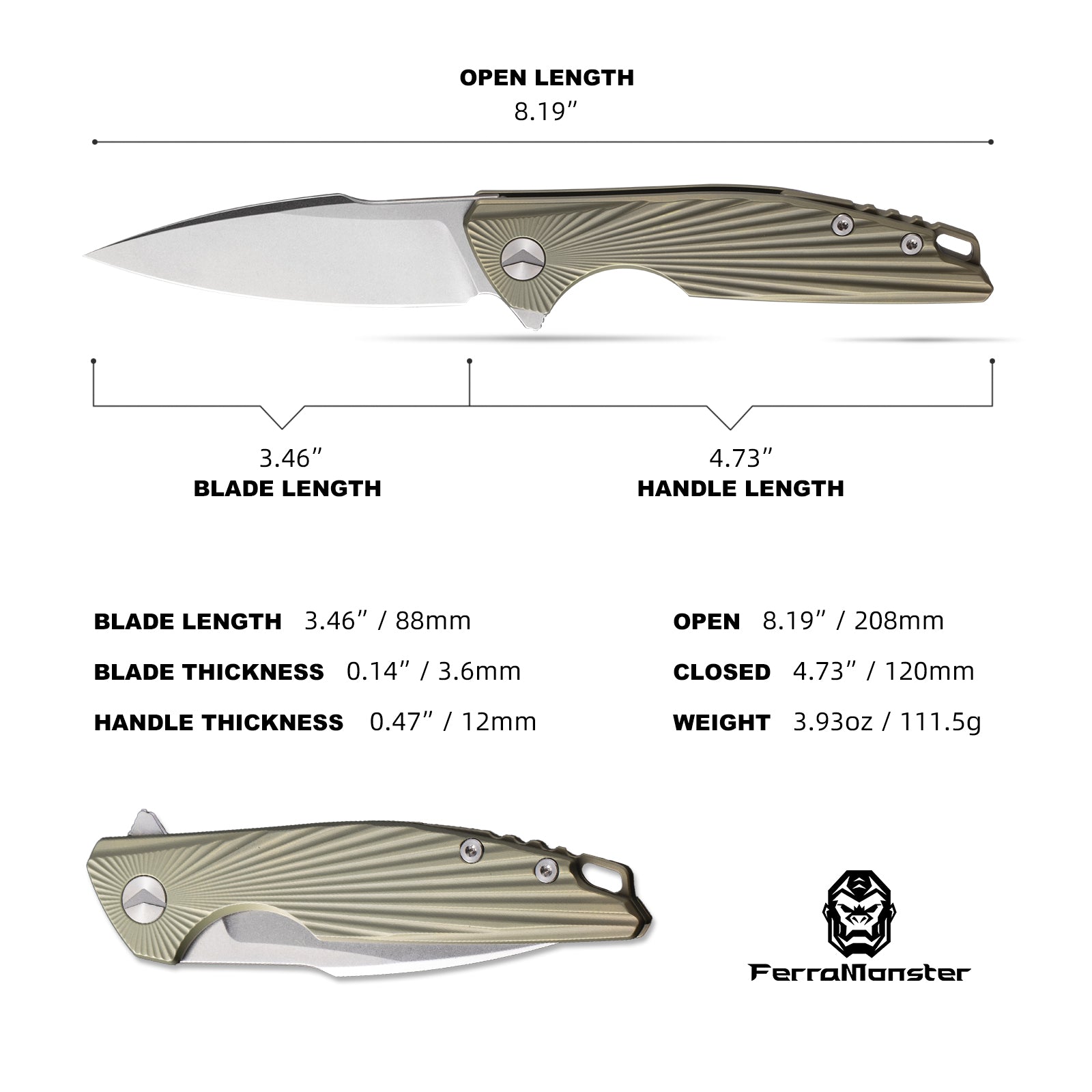 AURORA RAYS (FM23002-B) – Ferramonster