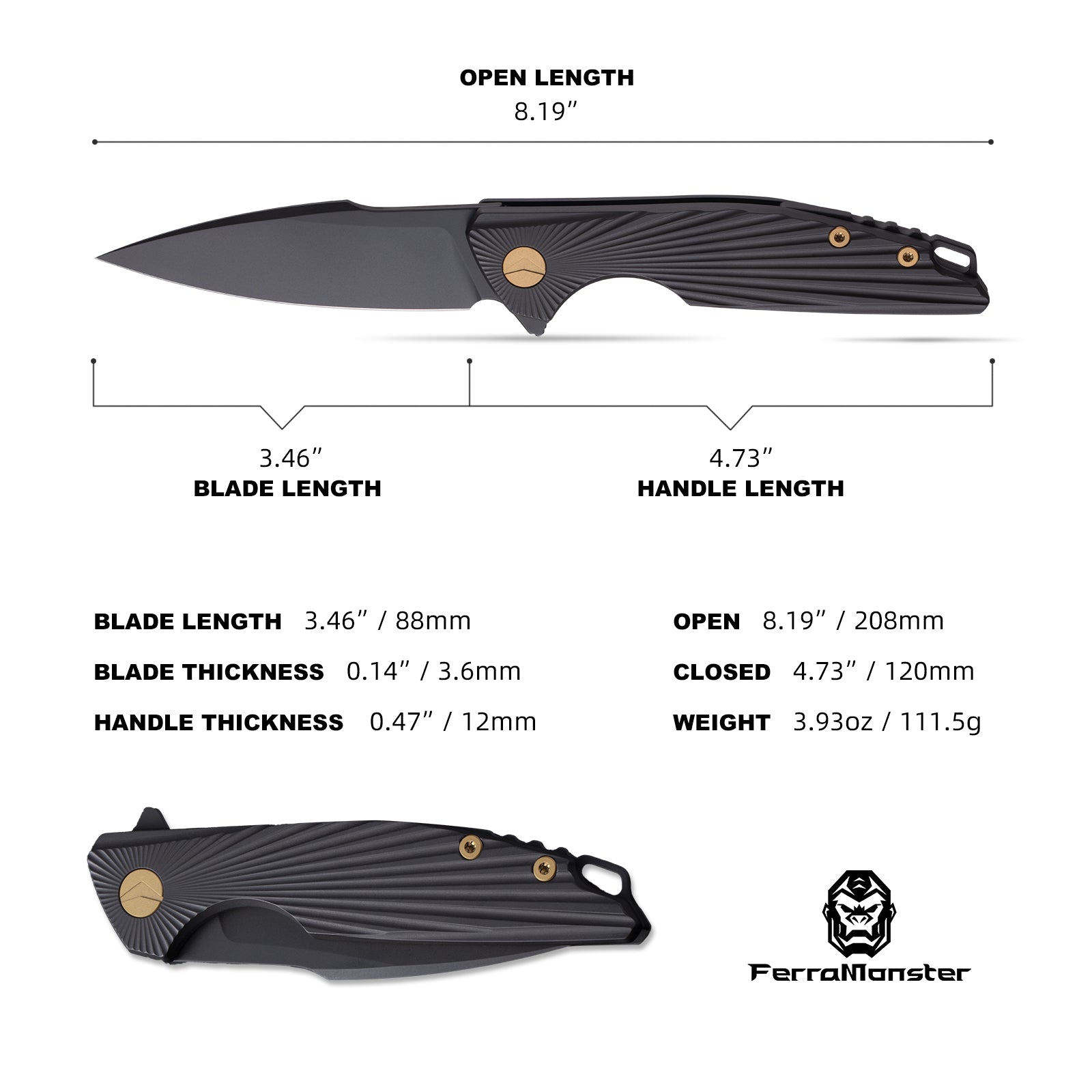 AURORA RAYS (FM23002-C) – Ferramonster