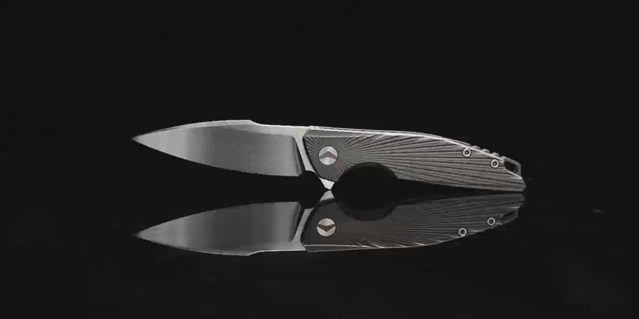AURORA RAYS (FM23002-B) – Ferramonster